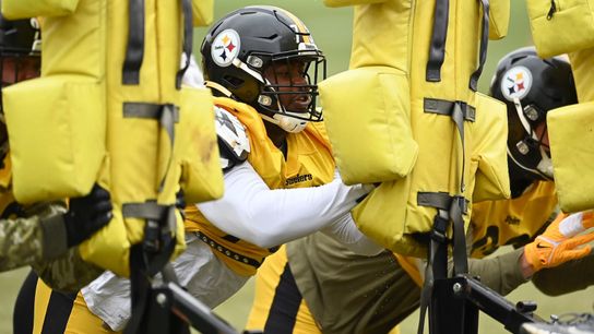 Defense will have to win 'individual battles' to finally stop the run taken on the South Side (Steelers)